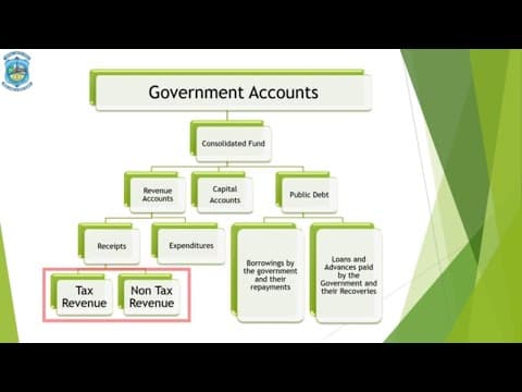 Understanding Government Accounting: A Comprehensive Overview