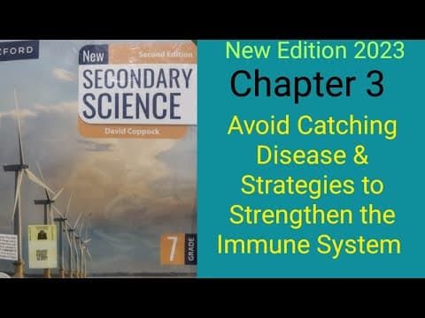 Strategies to Strengthen Your Immune System and Avoid Diseases