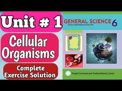 Understanding the Basics of Living Organisms: Cells, Tissues, and Organ Systems