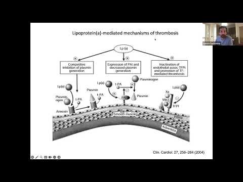 Understanding Lipoprotein(a) and Its Role in Cardiovascular Risk