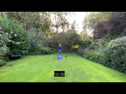 Embrace Mindfulness: A Guided Walking Meditation for Inner Peace