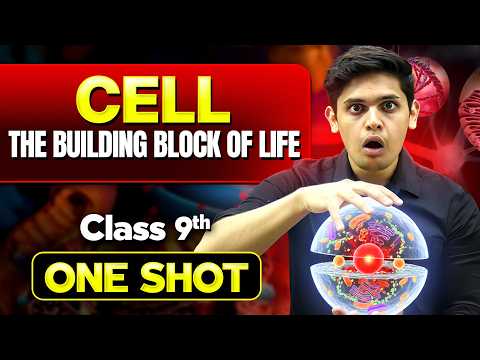 Understanding the Fundamental Unit of Life: A Comprehensive Guide to Cells