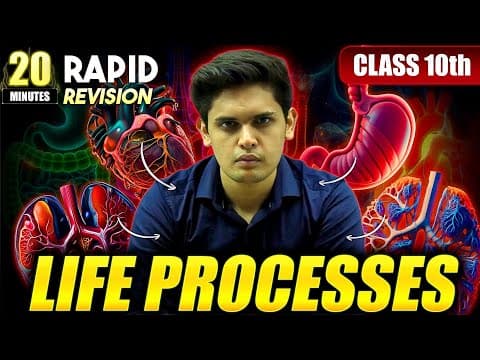 Understanding Life Processes: A Comprehensive Guide for Class 10 Students