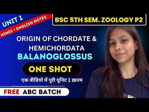 Understanding the Origin and Characteristics of Chordates and Hemichordates