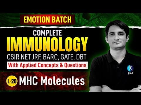 Understanding MHC Molecules: Structure, Function, and Importance in Immunology