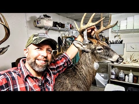 A Beginner's Guide to Mounting a Deer Head: Step-by-Step Taxidermy Process