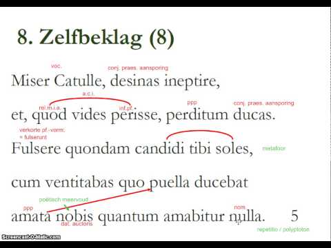 Analyzing Catullus' Poem 8: A Deep Dive into Self-Pity