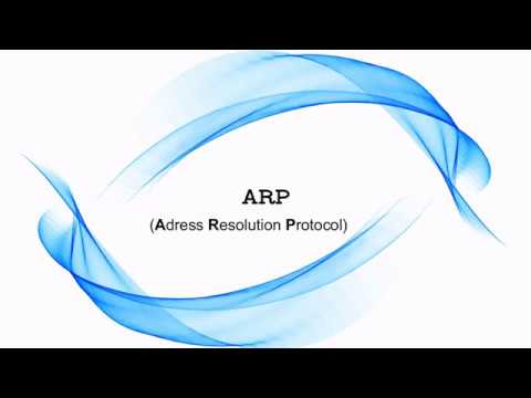 Understanding ARP and RARP: Key Protocols in Networking