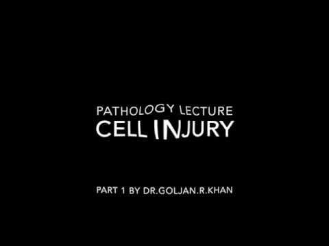 Understanding Cell Injury: Key Concepts from Goljan's Lectures