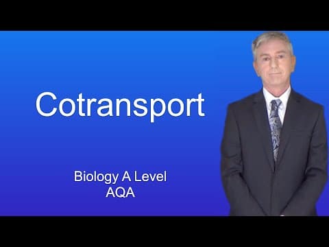 Understanding Co-Transport: A Key Mechanism in Nutrient Absorption