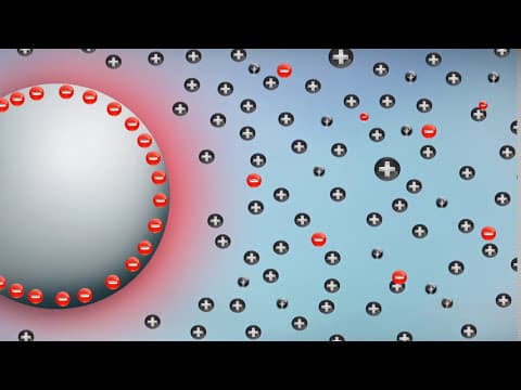 Understanding the Electrical Double Layer: Formation and Implications