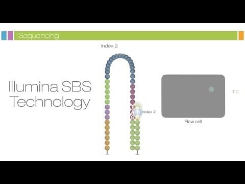 Understanding Sequencing by Synthesis: A Deep Dive into Data Quality