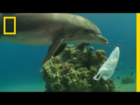 Rethinking Plastic Waste: Solutions to Keep Our Oceans Clean
