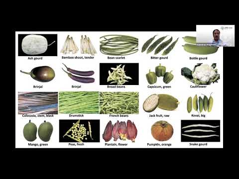 Exploring the Richness of Fruits and Vegetables: Insights from the IYFV Webinar