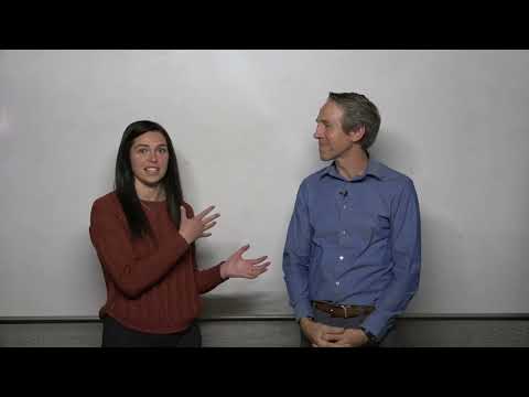 Unlocking Your Potential: The Power of Neural Auto Associative Programming