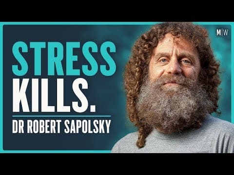 Understanding Stress: Its Impact on Empathy and Quality of Life