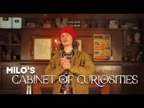 Exploring Milo's Cabinet of Curiosities: A Personal Collection Tour