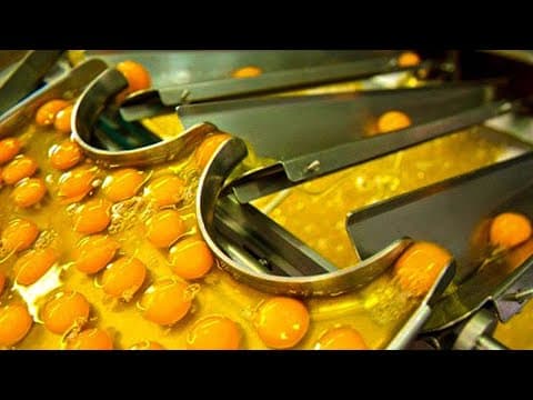 Exploring the World of Satisfying Machines and Ingenious Tools
