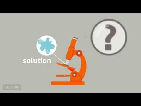Understanding Solutions: The Role of Solutes and Solvents in Everyday Life