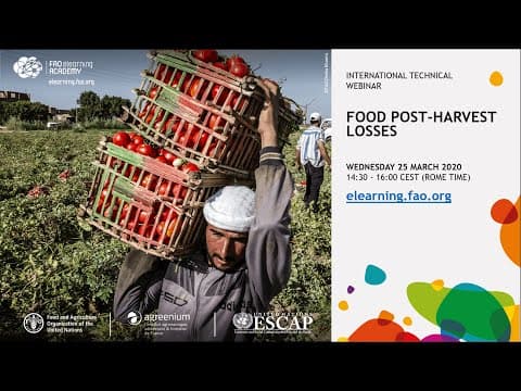 Understanding Sustainable Food Systems: Reducing Post-Harvest Losses