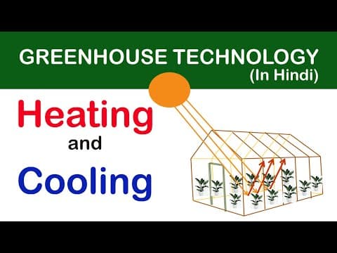 Understanding Heating and Cooling Systems in Greenhouses