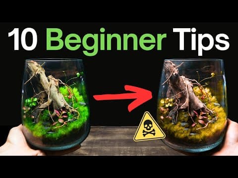 10 Essential Tips for Creating Healthy Terrariums
