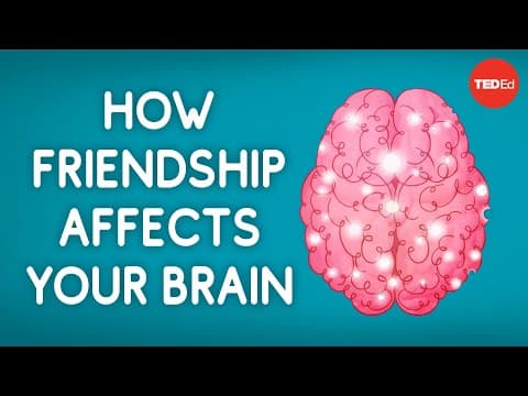 The Science Behind Friendship: How Connections Shape Our Brains