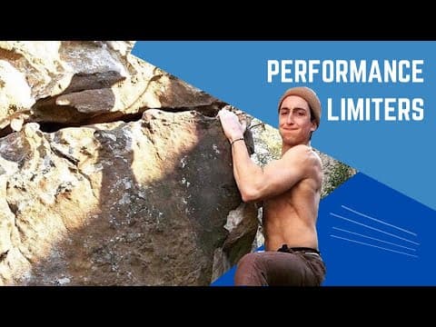 Understanding Performance Limiters in Athletic Training: Respiratory, Delivery, and Uptake