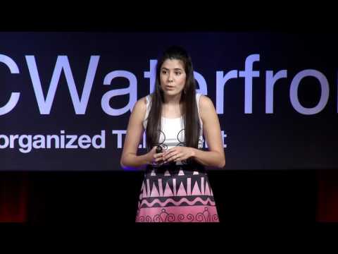 Understanding Two-Eyed Seeing: Bridging Indigenous and Western Perspectives