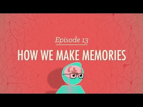 Understanding Memory: Insights from Clive Wearing's Story