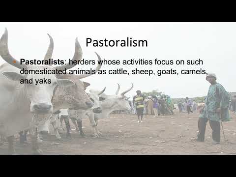 Exploring Food Anthropology: Culture, Identity, and Dietary Practices