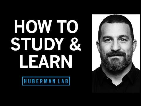 Optimal Protocols for Studying and Learning: Insights from Neuroscience