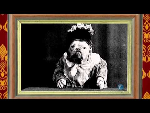 Darwin's Revolutionary Insights on Evolution and Natural Selection