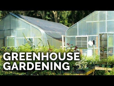 Greenhouses 101: A Comprehensive Guide to Choosing the Right Structure for Your Garden