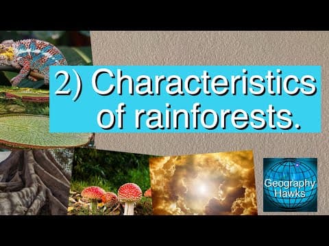 Understanding the Characteristics of Tropical Rainforests