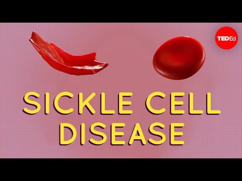 Understanding Sickle-Cell Disease: The Impact of a Genetic Mutation on Cell Shape and Health