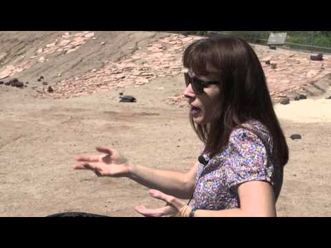 Exploring Mars: Insights from Astrobiology and the Mars 2020 Mission