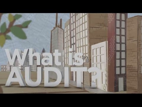Understanding Audits: More Than Just IRS Scrutiny