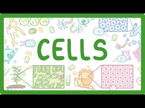 Understanding Cell Types: A Comprehensive Guide to Animal, Plant, and Bacterial Cells