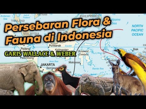 Understanding the Unique Biodiversity Distribution in Indonesia