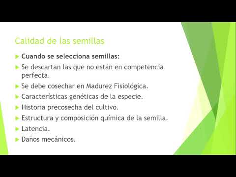 Understanding Seed Quality: Key Factors and Best Practices