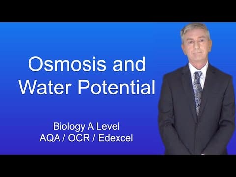 Understanding Osmosis and Water Potential in A Level Biology