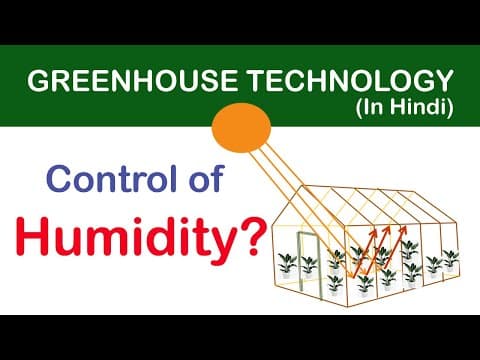 Understanding Humidity Control in Greenhouses: Key Concepts and Techniques