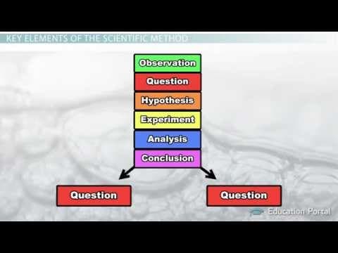 Understanding the Scientific Method: Steps, Terms, and Real-World Examples