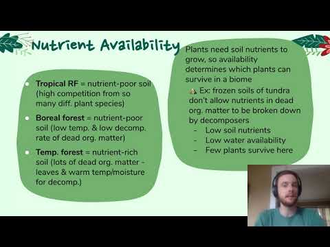 Understanding Terrestrial Biomes: Climate, Adaptations, and Changes