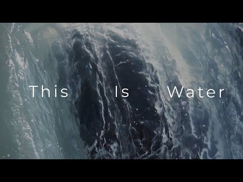 Understanding the Water: Insights from David Foster Wallace's Commencement Speech