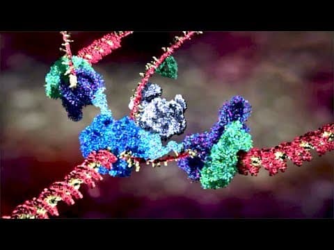 Exploring the Incredible World of Your Body's Molecular Machines