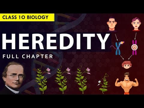 Understanding Heredity and Evolution: A Comprehensive Guide