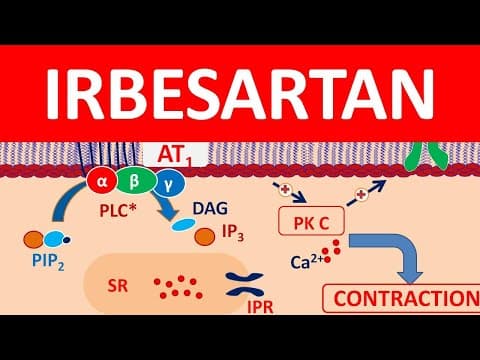 Understanding Irbesartan: Mechanism, Uses, Precautions, and Side Effects