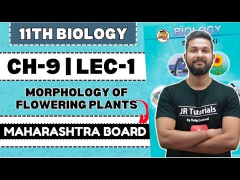 Understanding the Morphology of Flowering Plants: A Comprehensive Guide